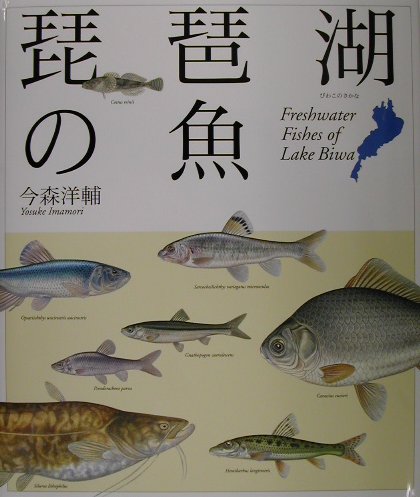 楽天ブックス 琵琶湖の魚 さかな 今森洋輔 本