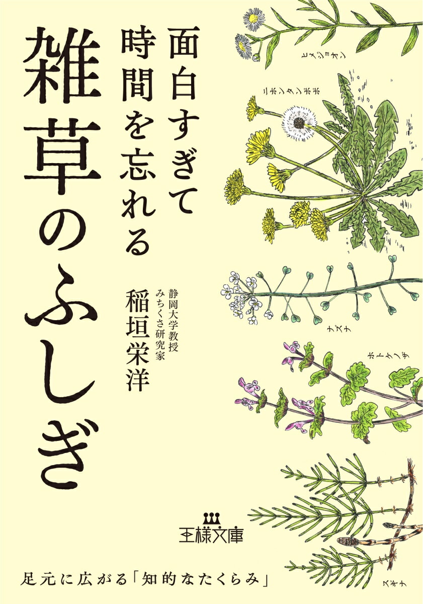 楽天ブックス: 面白すぎて時間を忘れる雑草のふしぎ - 足元に広がる