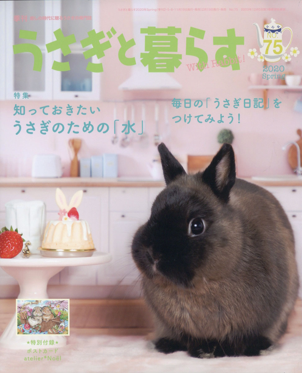 楽天ブックス うさぎと暮らす 年 04月号 雑誌 マガジンランド 雑誌