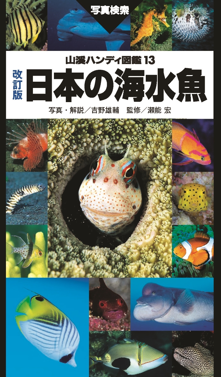楽天ブックス 日本の海水魚改訂版 吉野雄輔 本