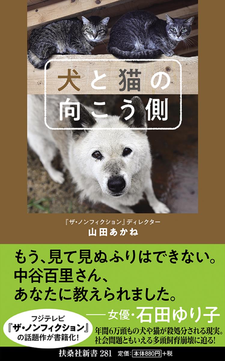 楽天ブックス 犬と猫の向こう側 山田 あかね 本