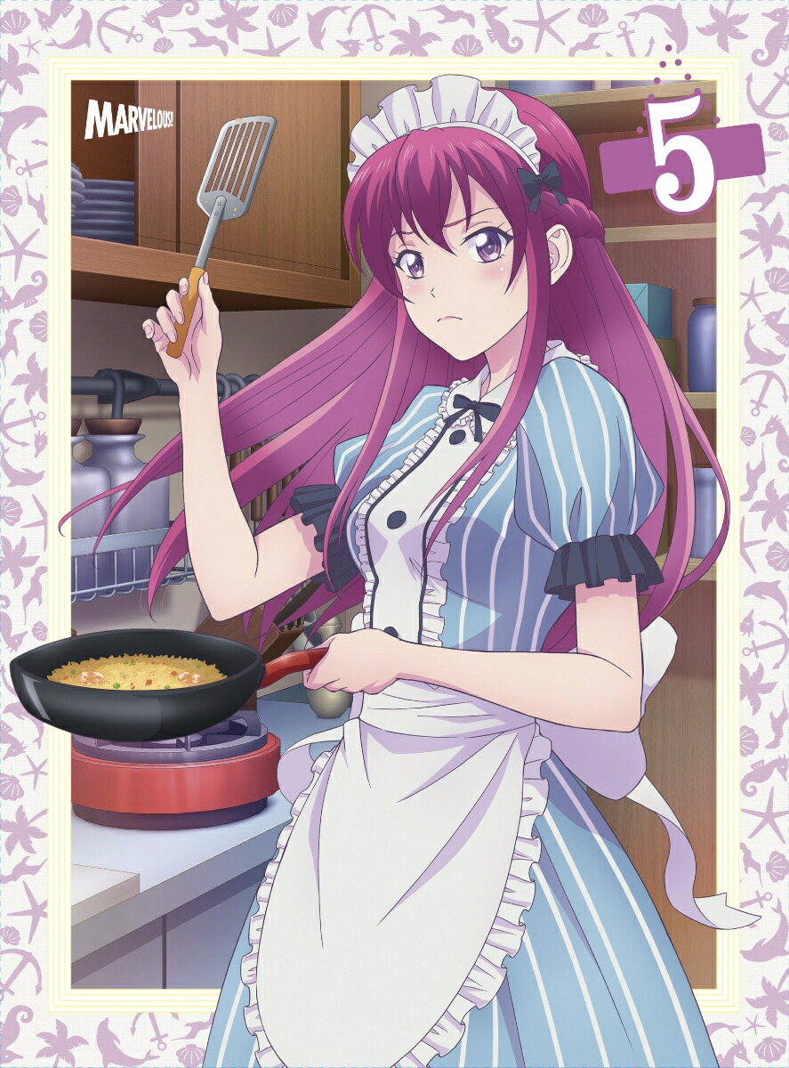 TV���˥�ؽ����Υ��ե��ƥ饹��Vol.5��Blu-ray��[(���˥᡼�����)]