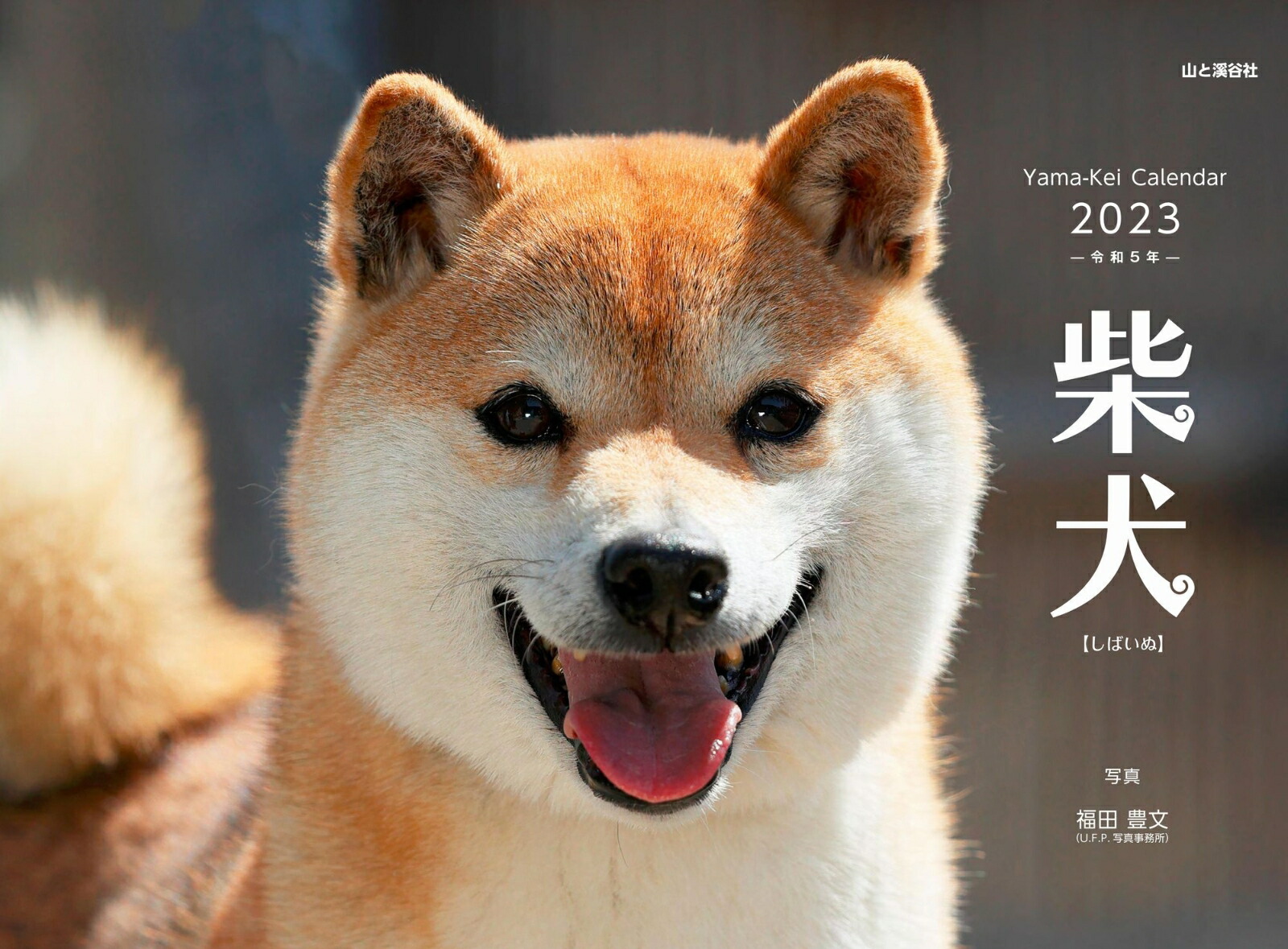 柴犬 カードゲームパック 大人気新品