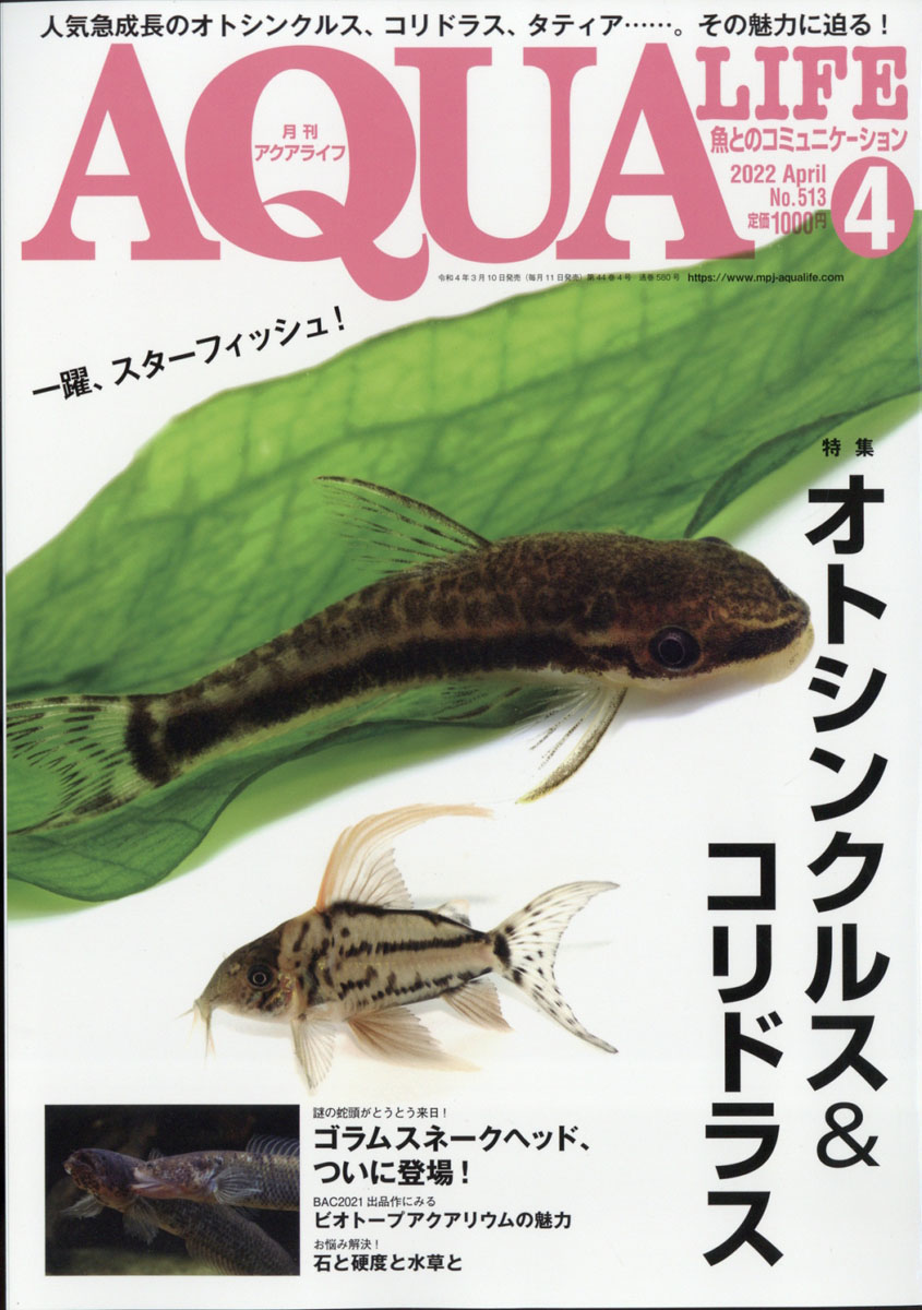 楽天ブックス: 月刊 AQUA LIFE (アクアライフ) 2022年 04月号 [雑誌