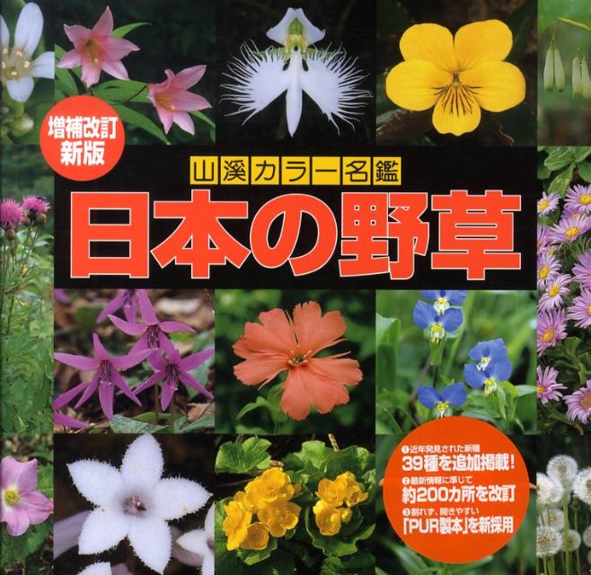 楽天ブックス: 日本の野草増補改訂新版 門 - 林弥栄 - 9784635090421 : 本