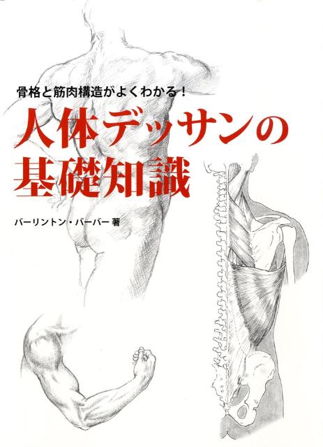 楽天ブックス 人体デッサンの基礎知識 骨格と筋肉構造がよくわかる バーリントン バーバー 本