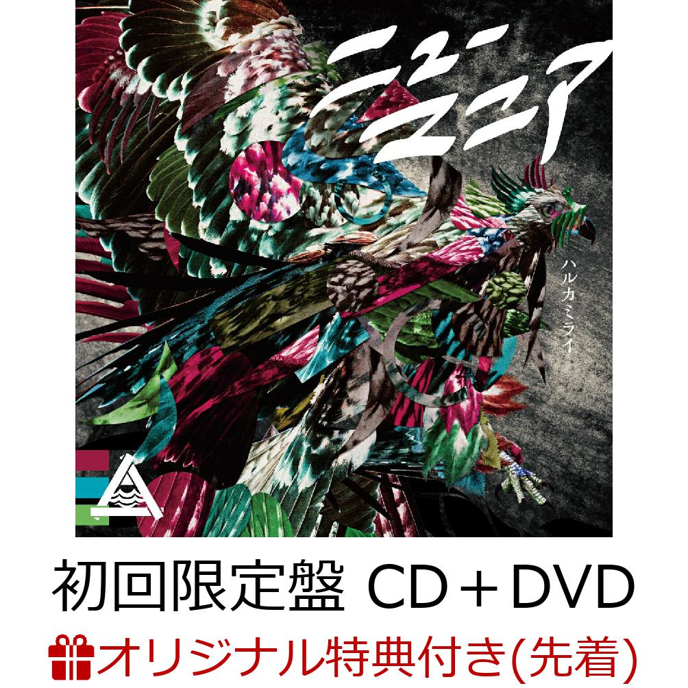 美品】 ハルカミライ 廃盤 ワンマイライブDVD fawe.org