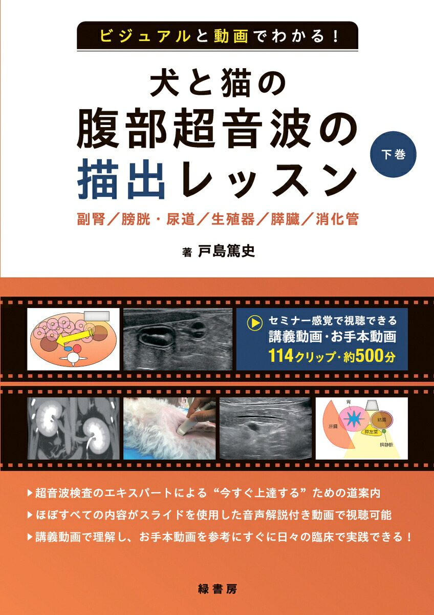 楽天市場】犬の腹部超音波診断アトラス (Clinic note books) 坂井学