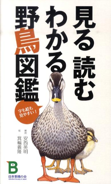 楽天ブックス 見る読むわかる野鳥図鑑 字も絵も見やすい 安西英明 本