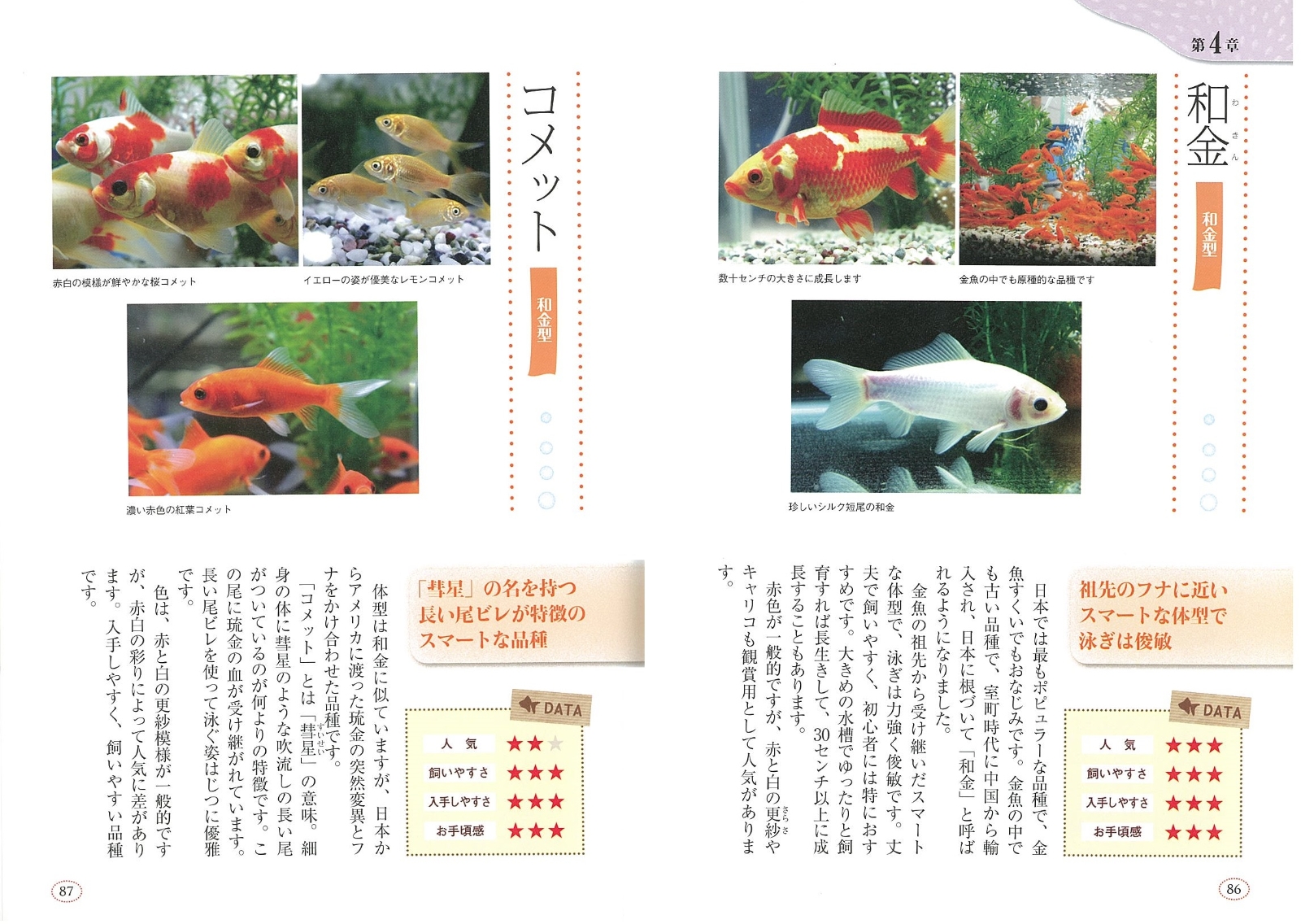 楽天ブックス 楽しい金魚の飼い方 プロが教える33のコツ 長く元気に育てる 長尾 桂介 本