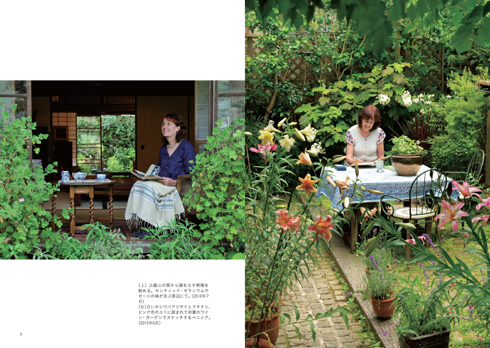 �٥˥����Ρ֤��������פ�İ��������[�ỳ��]