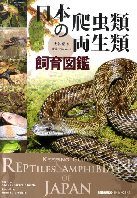 楽天ブックス 日本の爬虫類 両生類飼育図鑑 大谷勉 本