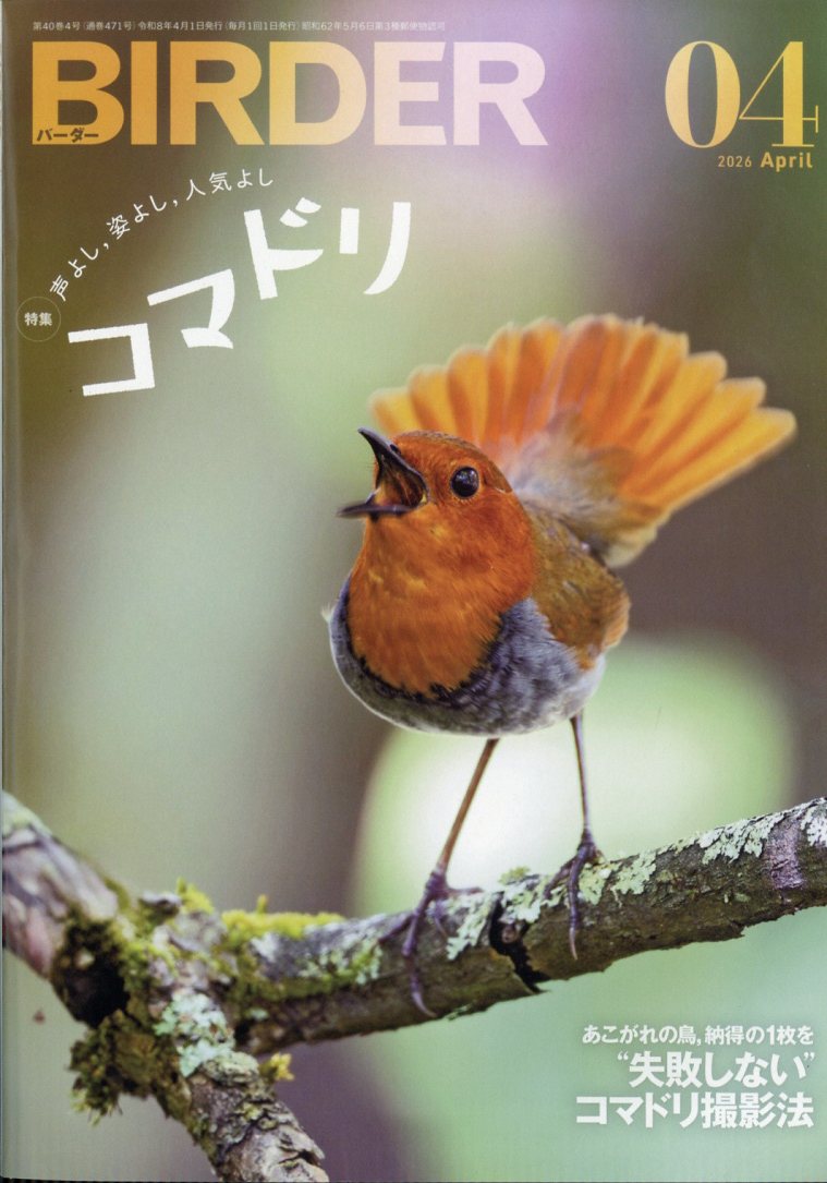 BIRDER(バーダー)2026年4月号[雑誌]