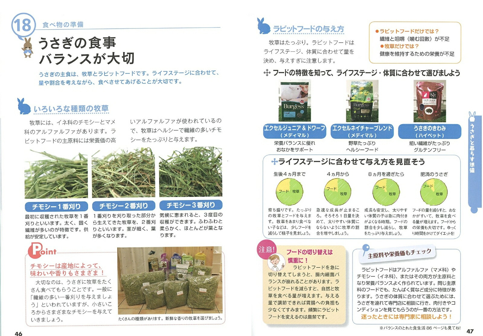 楽天ブックス はじめてでも安心 かわいいうさぎ 幸せな飼い方 育て方がわかる本 大里 美奈 本