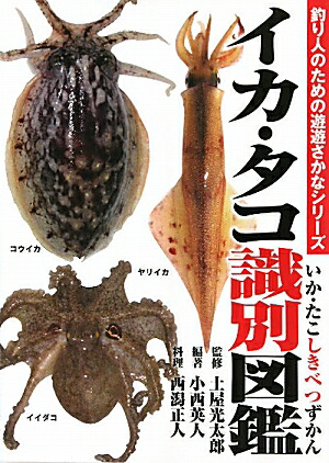楽天ブックス: イカ・タコ識別図鑑 - 小西 英人 - 9784047267169