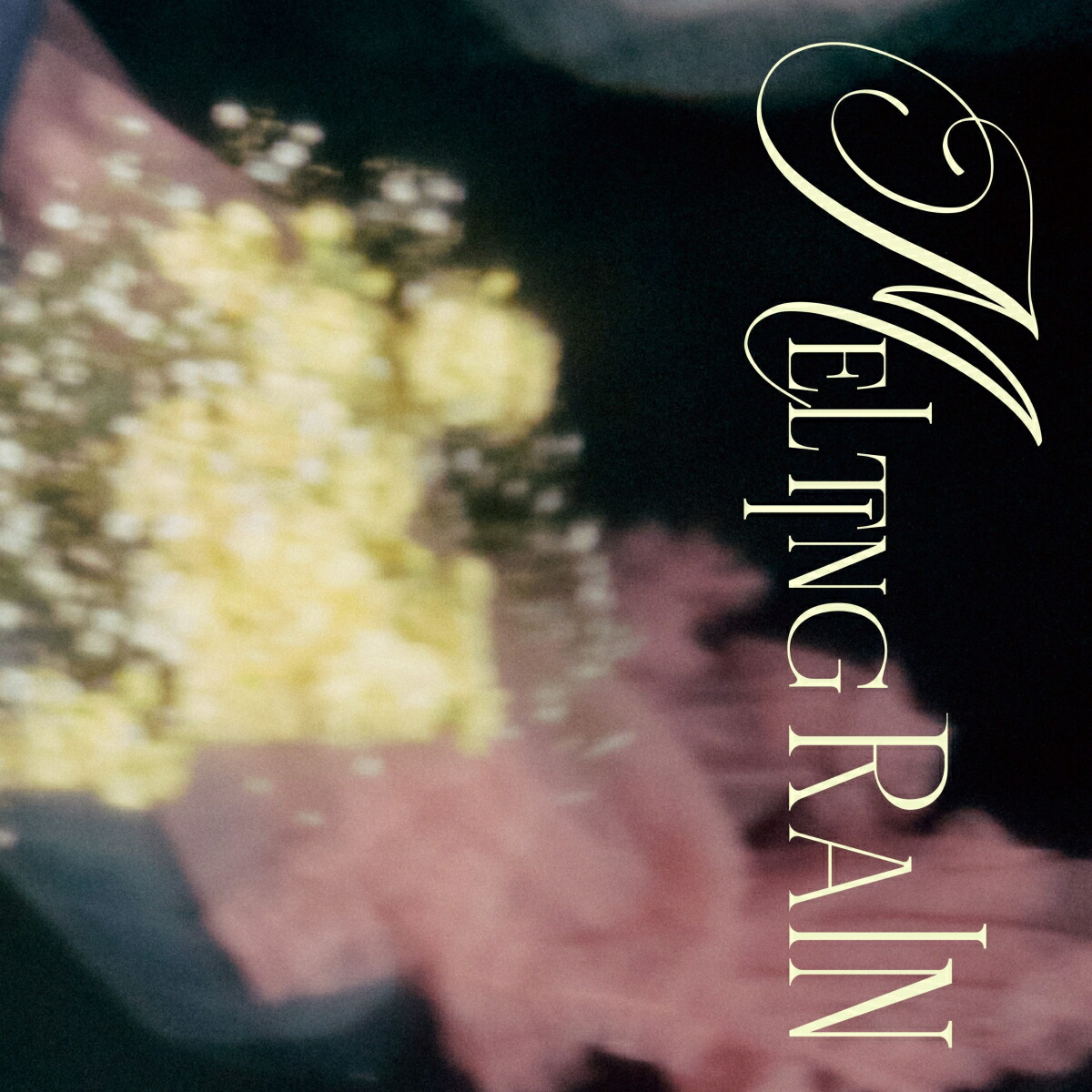 �ڳ�ŷ�֥å�������������ŵ��MeltingRain(���ޥۥ������֥��ޥ���)[��ƣ����]