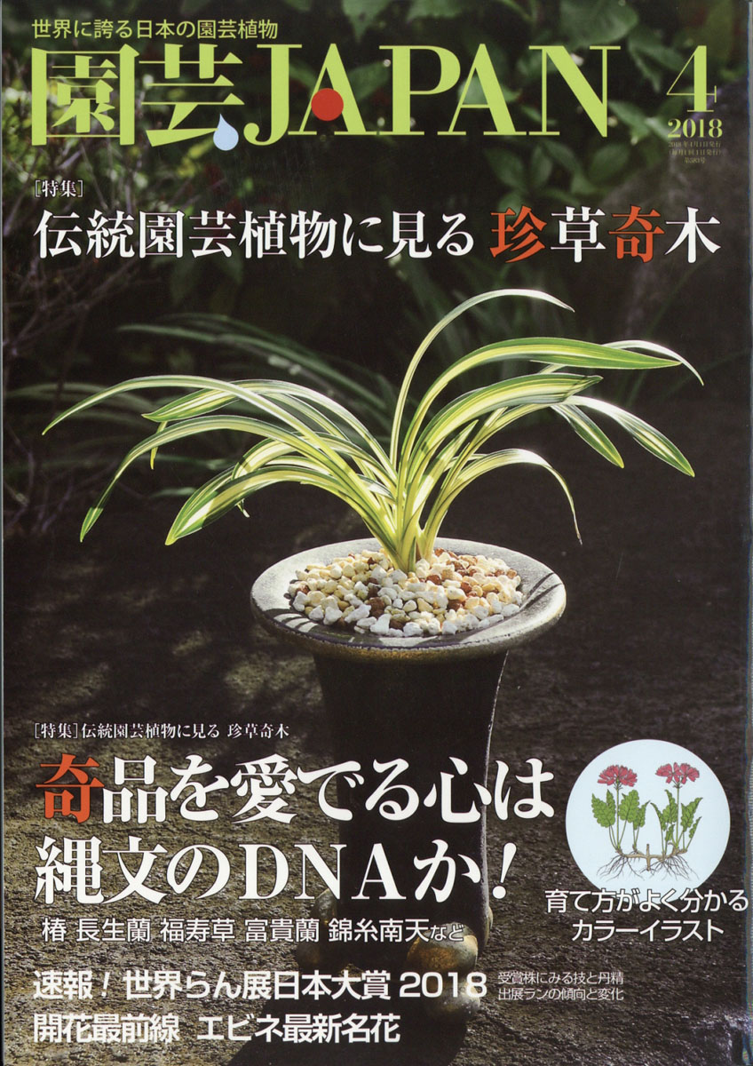 楽天ブックス 園芸japan ジャパン 18年 04月号 雑誌 エスプレス メディア出版 雑誌