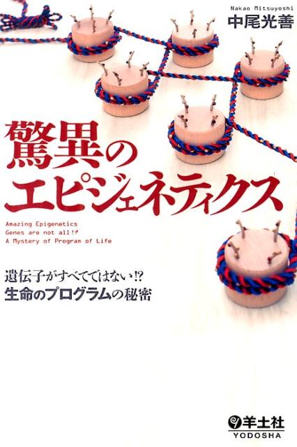 驚異のエピジェネティクス遺伝子がすべてではない！？生命のプログラムの秘密[中尾光善]