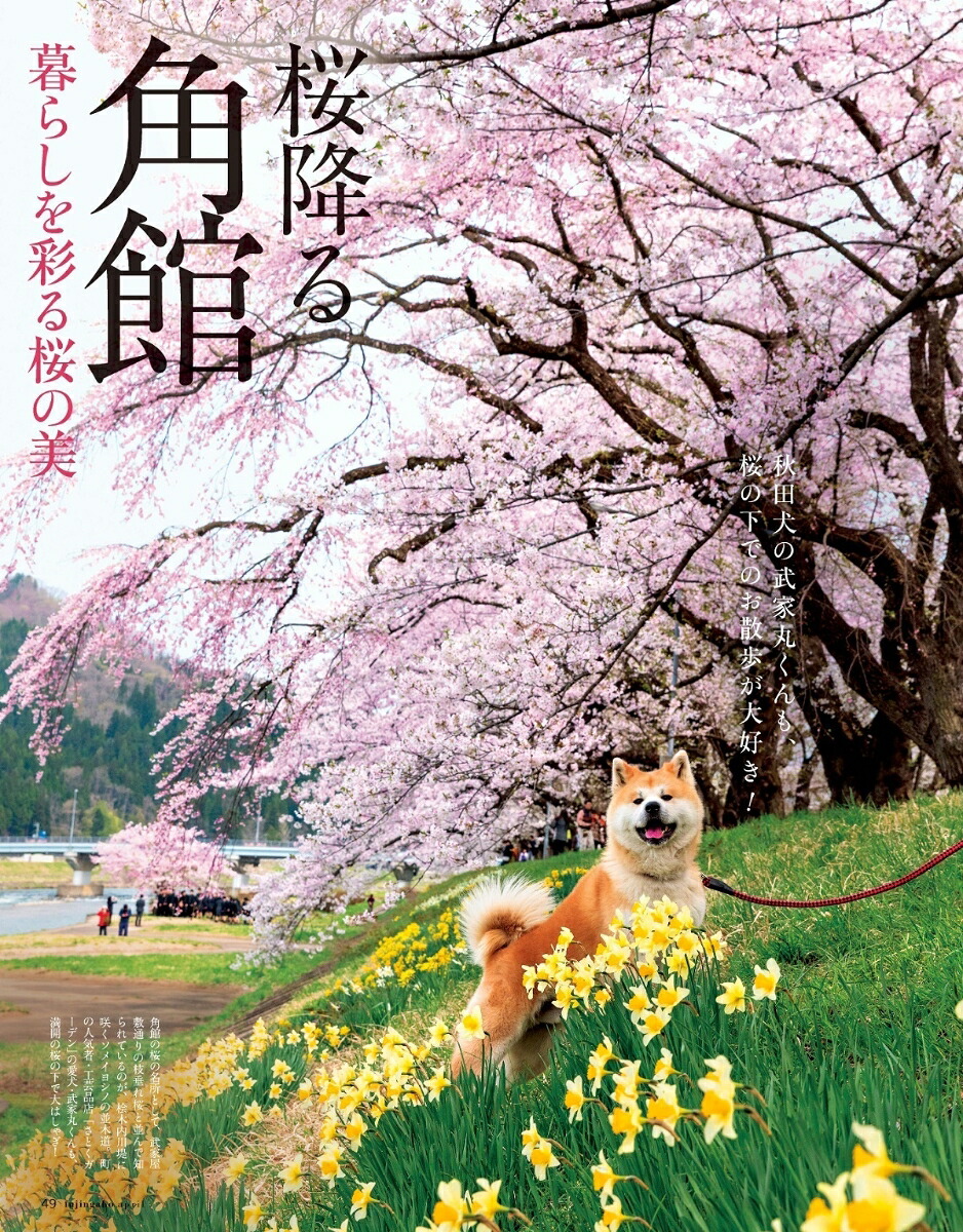 婦人画報2019年04月号[雑誌]