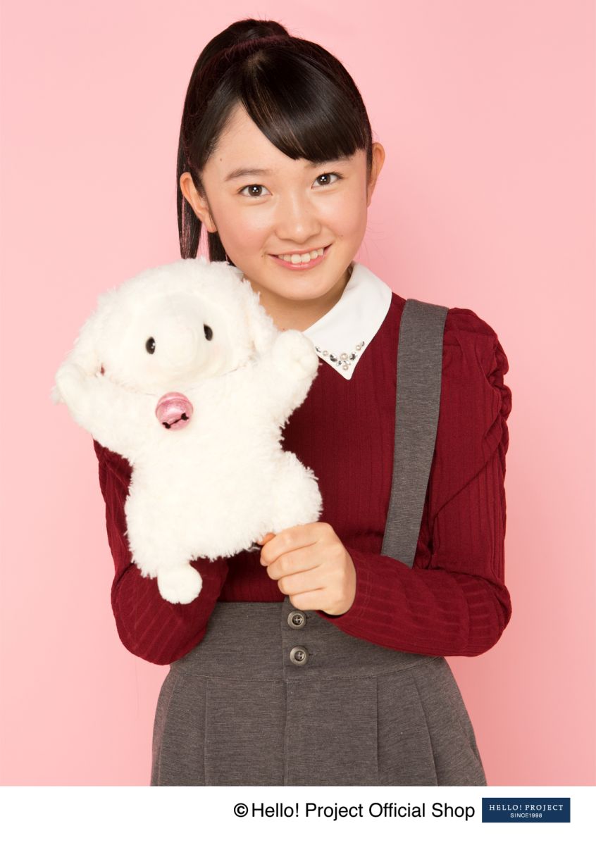 ��ŵ���̿���