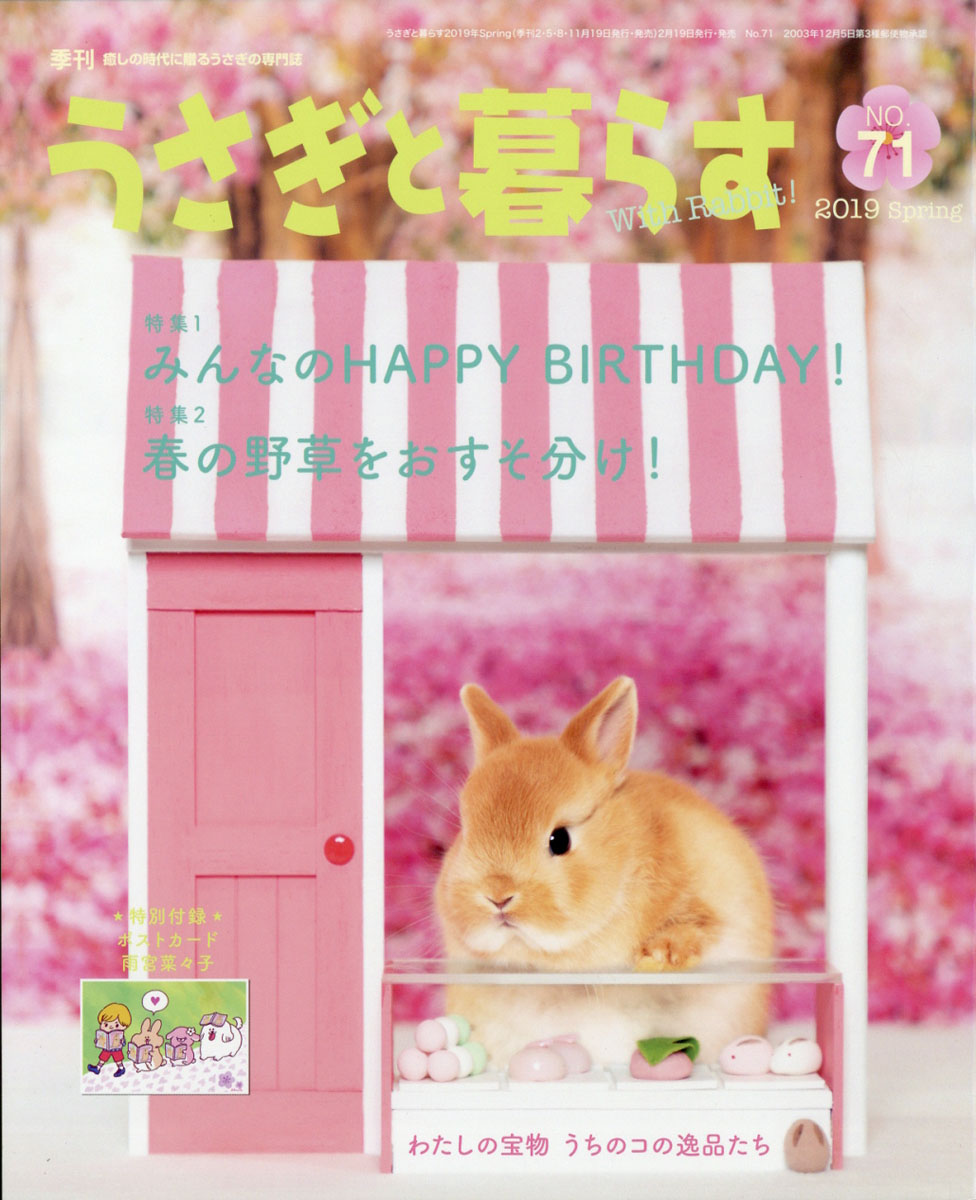 楽天ブックス うさぎと暮らす 19年 04月号 雑誌 マガジンランド 雑誌