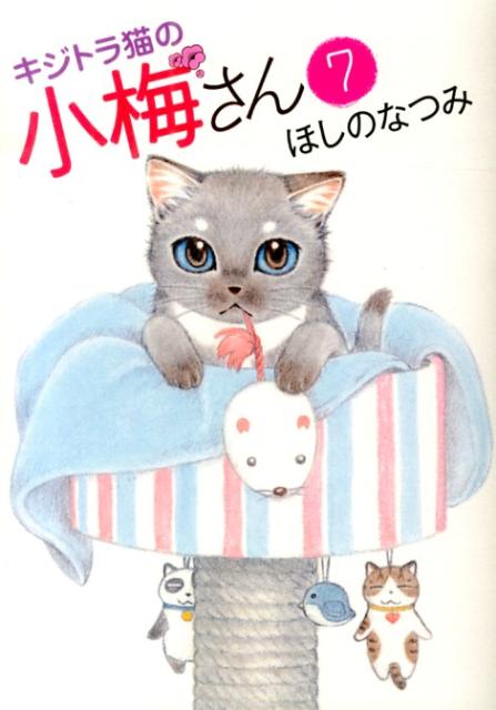 楽天ブックス キジトラ猫の小梅さん 7 ほしのなつみ 本