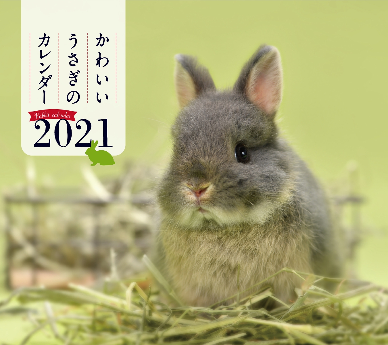 楽天ブックス 21年 ミニ判カレンダー かわいいうさぎのカレンダー 井川 俊彦 本