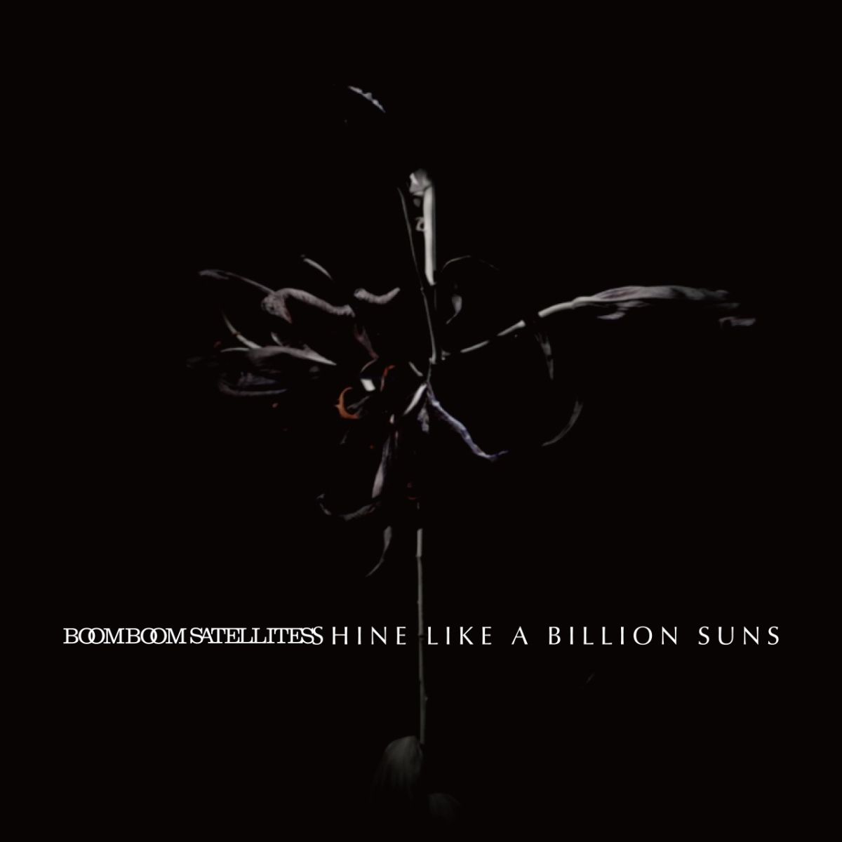 楽天ブックス: SHINE LIKE A BILLION SUNS (初回限定盤 CD+CD-ROM