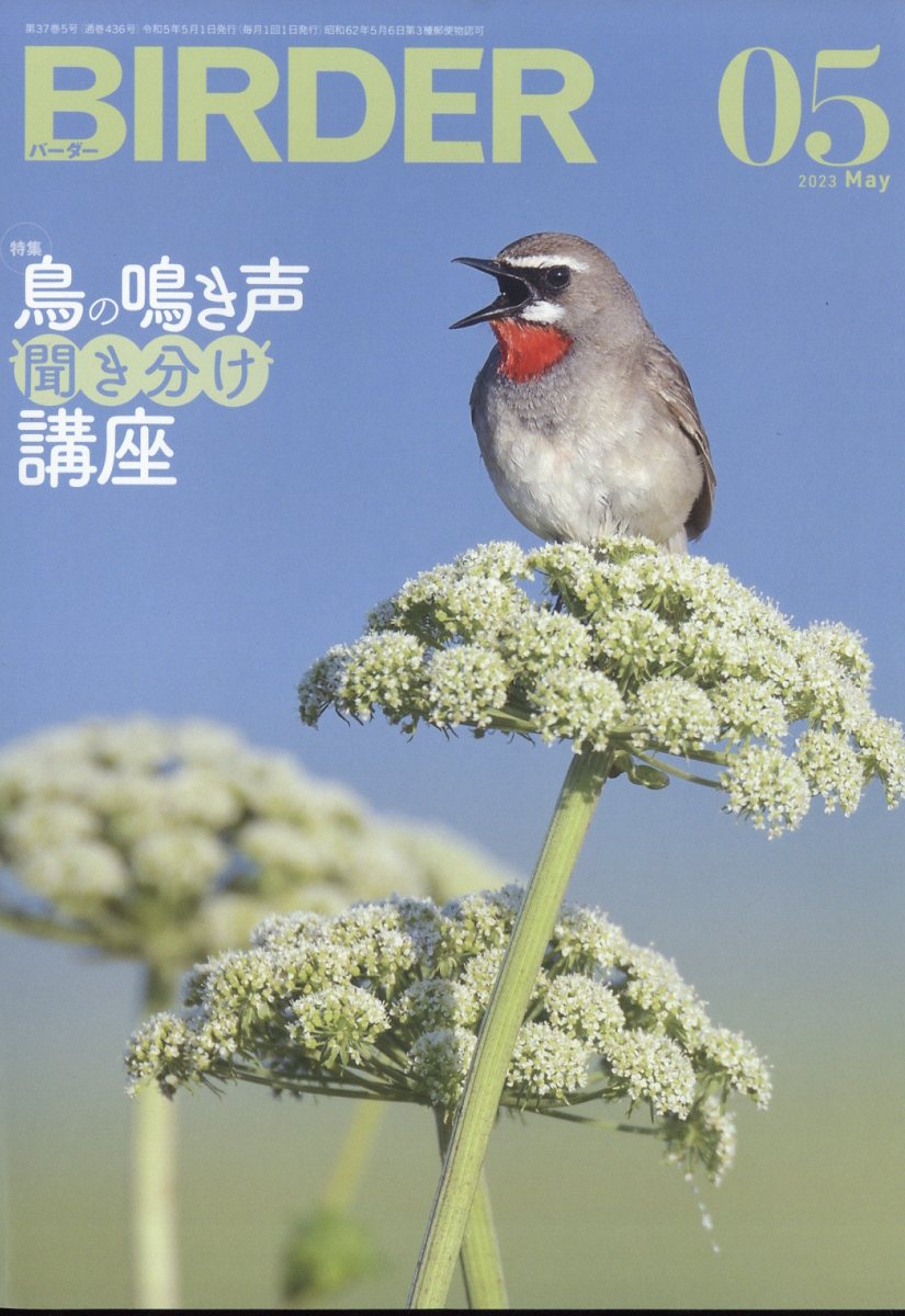 月間BIRDER 2023年5月号 - 鳥雑貨・オーナーズグッズ