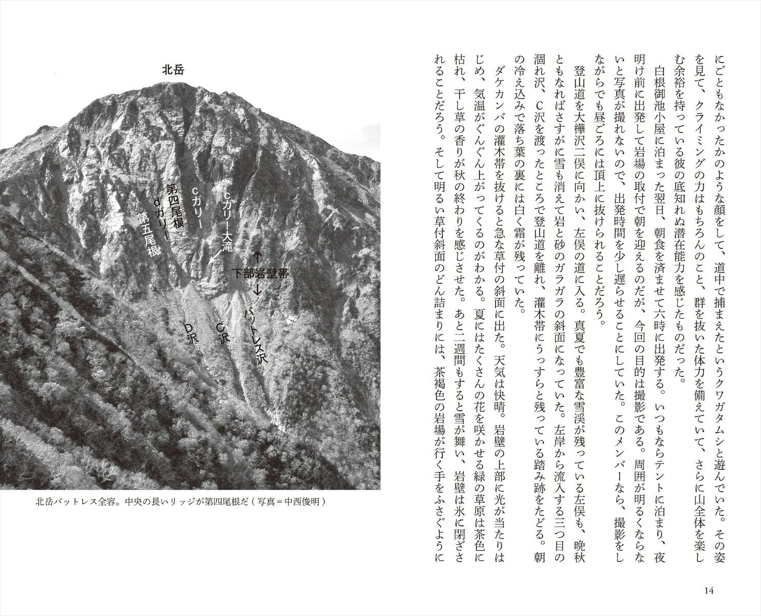 楽天ブックス 萩原編集長 危機一髪 本