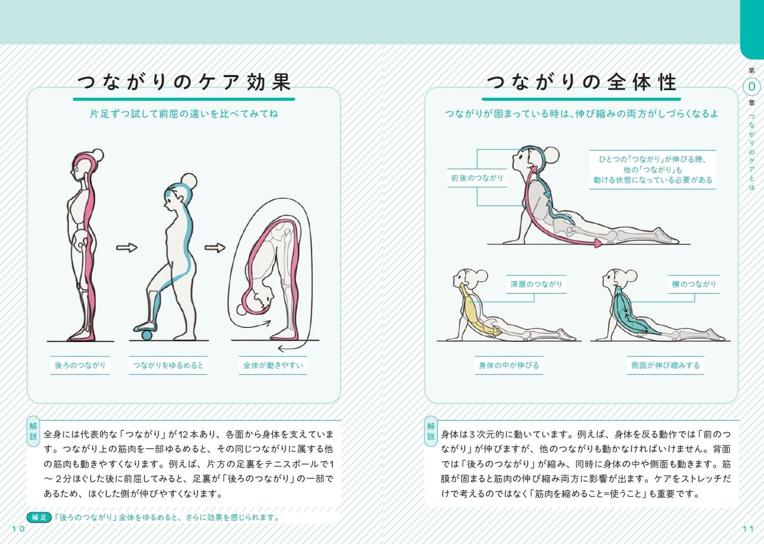 世界一わかりやすい筋肉のつながり図鑑セルフケア編[きまたりょう]