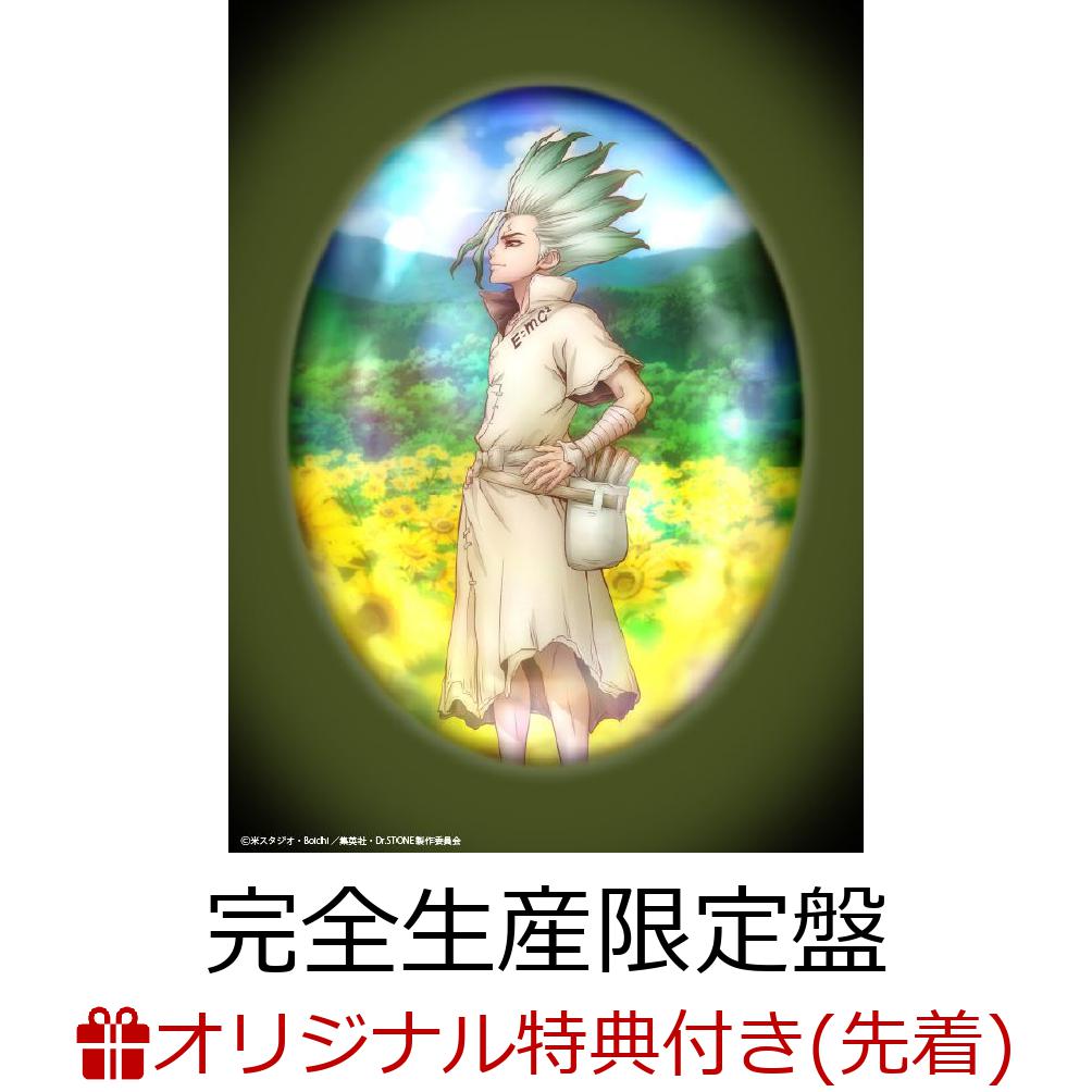 (C)米スタジオ・Boichi／集英社・Dr.STONE製作委員会