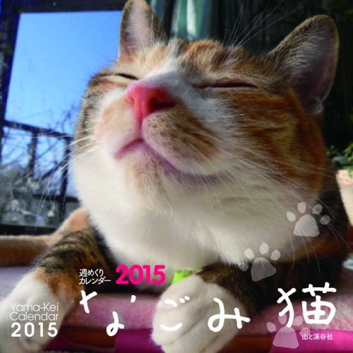 楽天ブックス 週めくりなごみ猫カレンダー 15 本