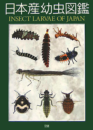 楽天ブックス 日本産幼虫図鑑 本