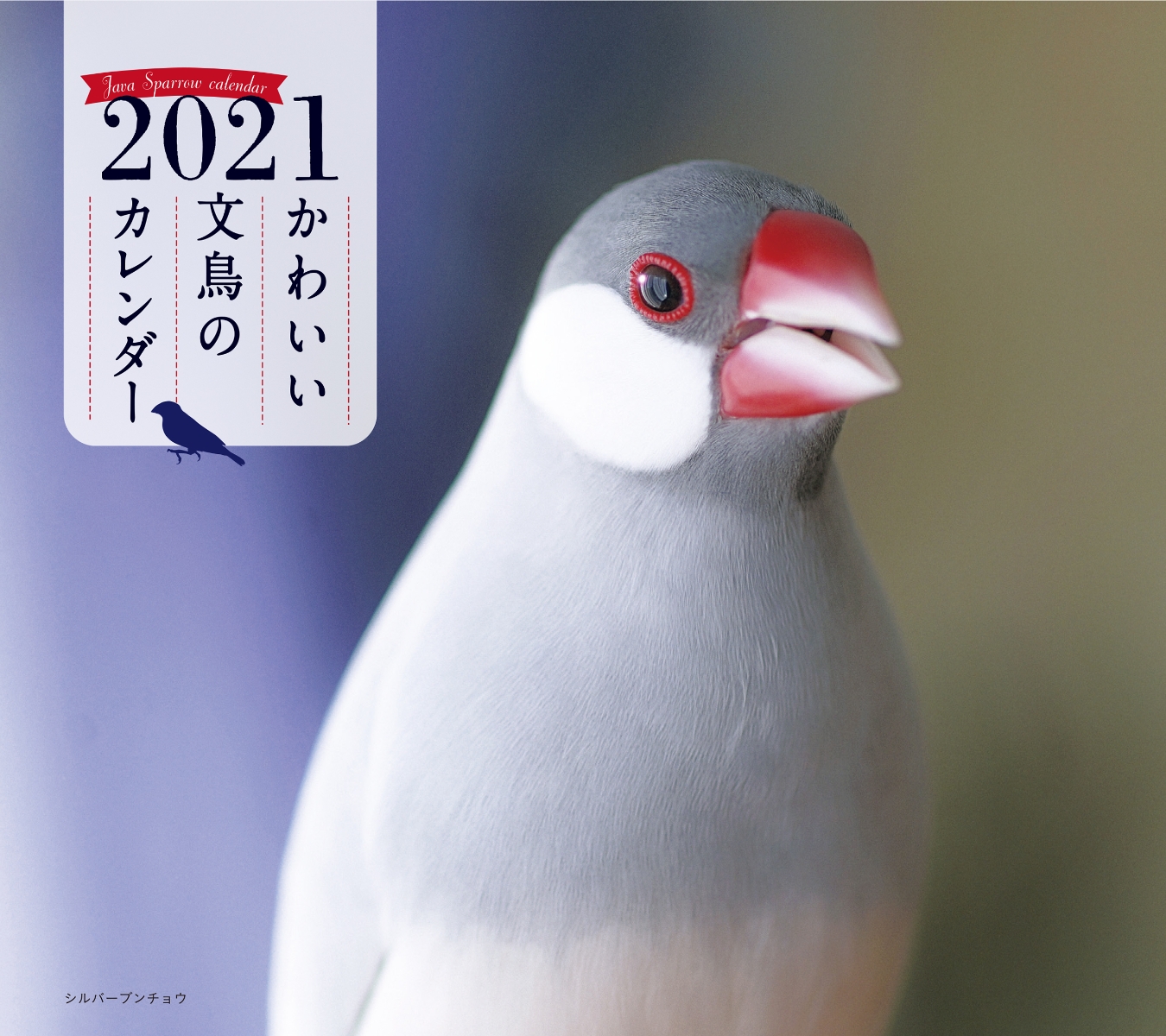 楽天ブックス 21年 ミニ判カレンダー かわいい文鳥のカレンダー 伊藤 美代子 本