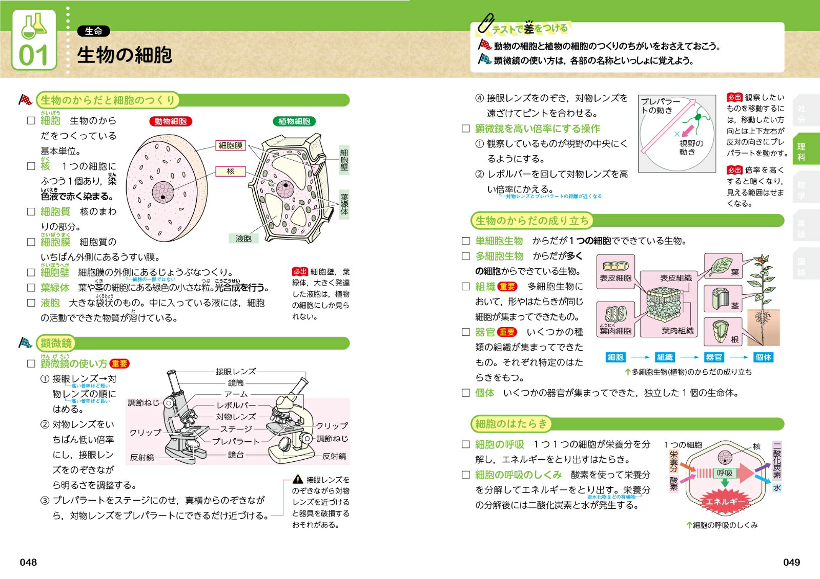 ��25�ʤ���������[ʸ��Ʋ�Խ���]