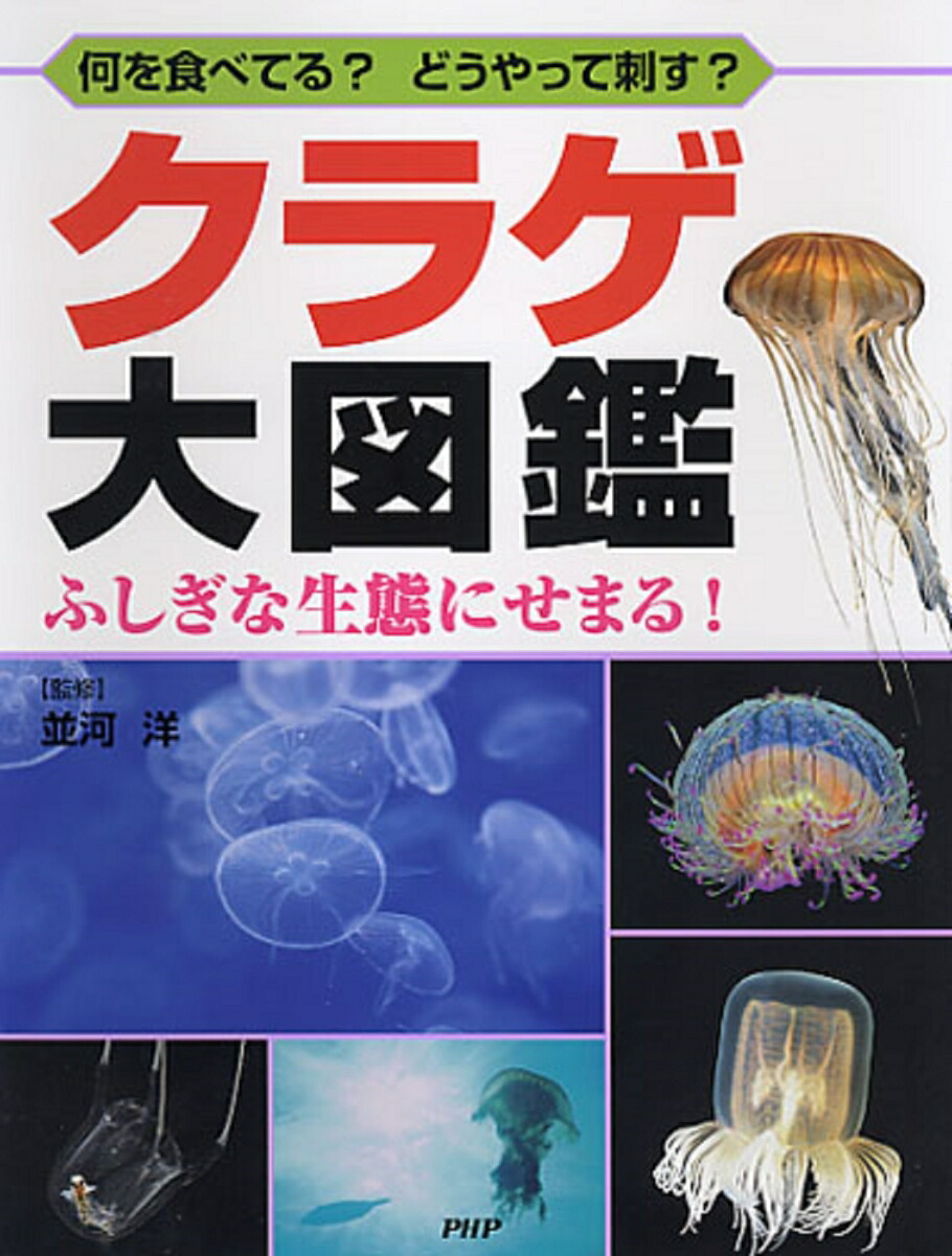 楽天ブックス 何を食べてる どうやって刺す クラゲ大図鑑 ふしぎな生態にせまる 並河洋 本