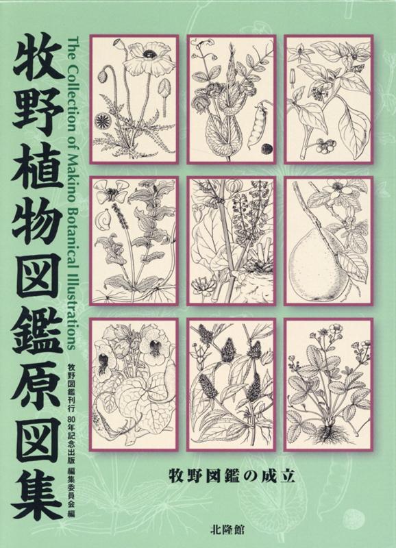 楽天ブックス: 牧野植物図鑑原図集 - 牧野図鑑の成立 - 牧野図鑑
