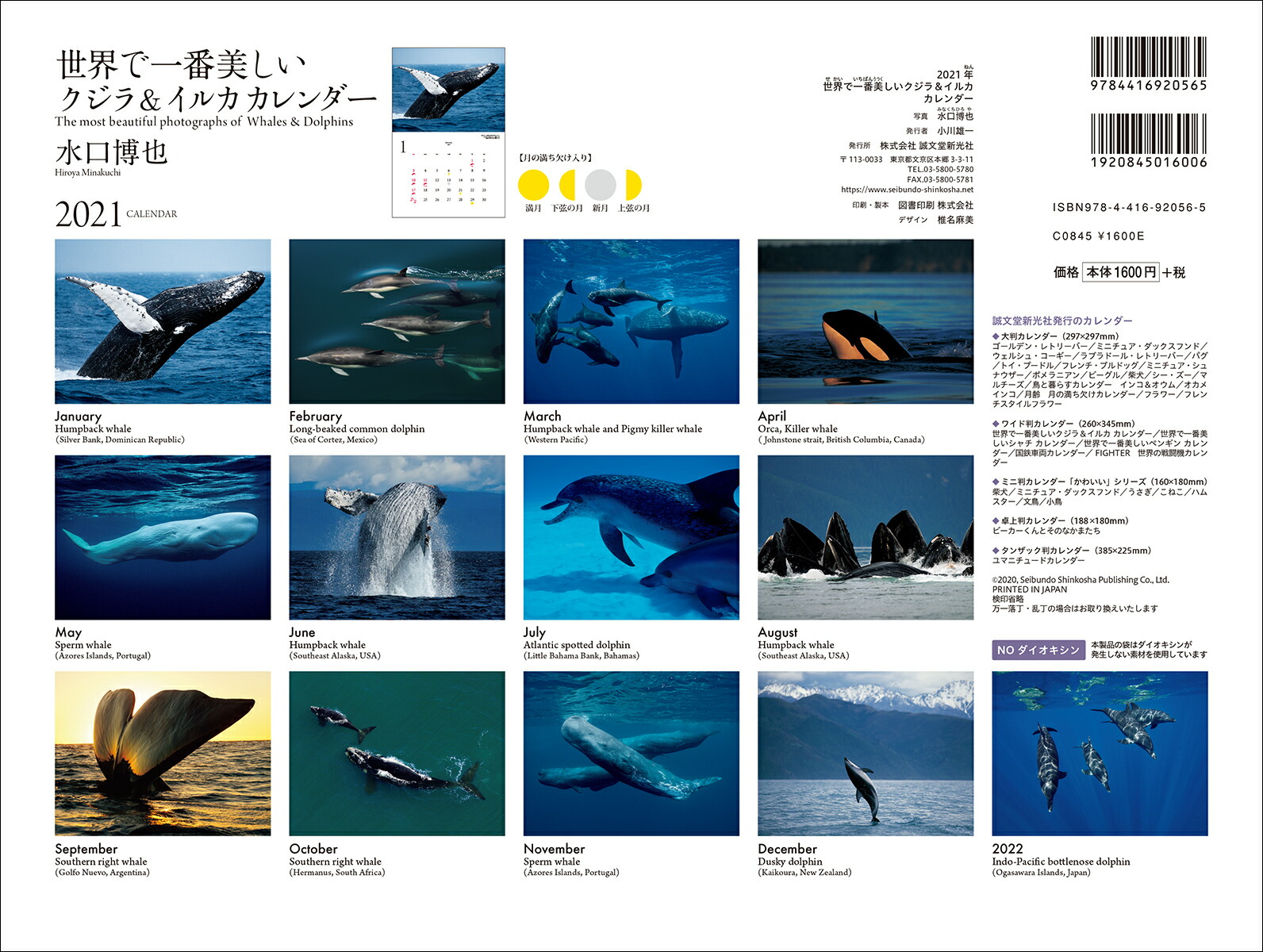 2021年ワイド判カレンダー世界で一番美しいクジラ＆イルカカレンダー（誠文堂新光社カレンダー）[水口博也]