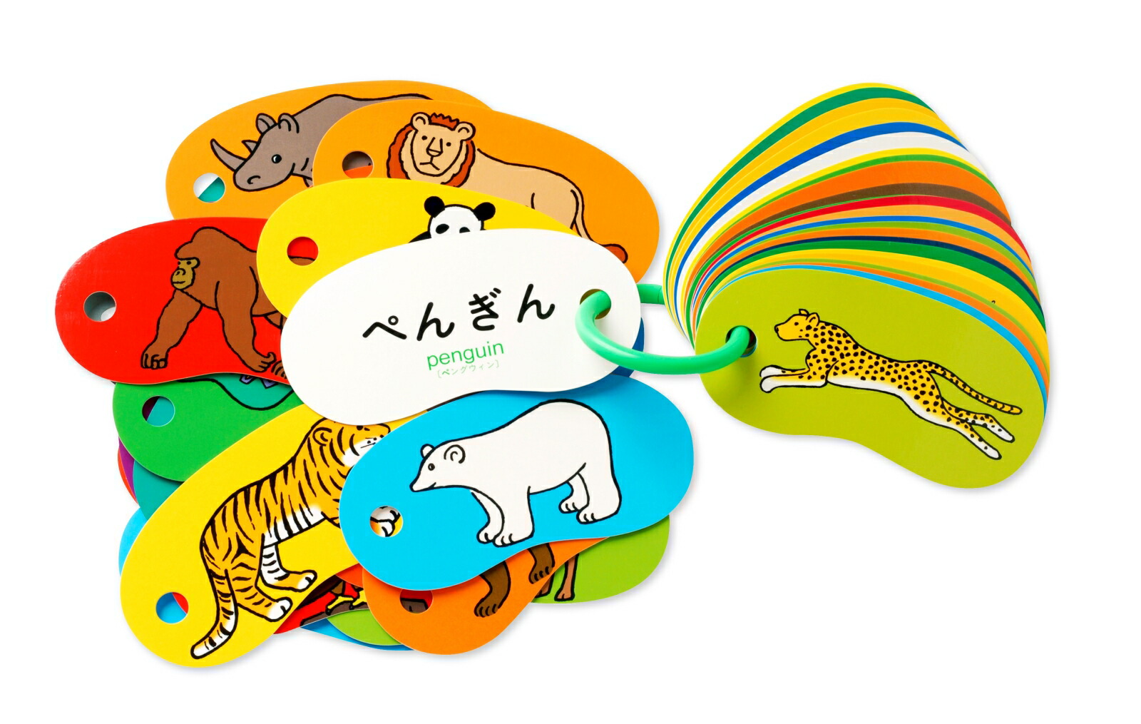 リングカード・どうぶつ画像