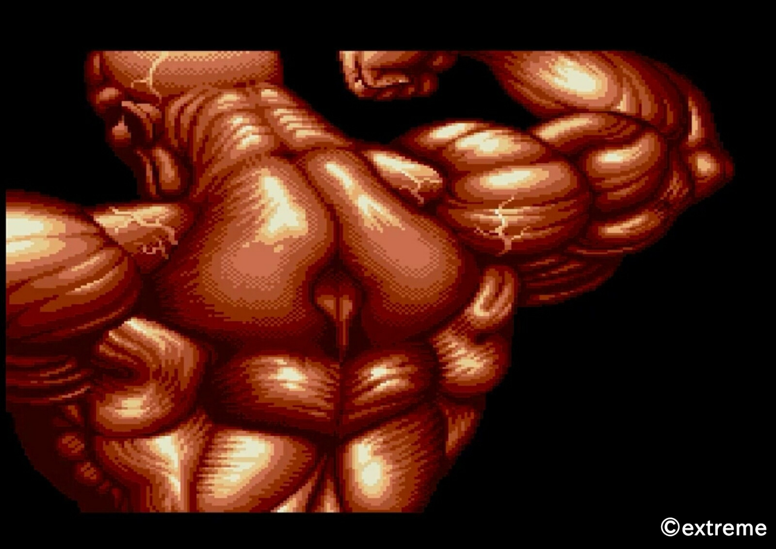 �ڳ�ŷ�֥å���������ŵ��Ķ����COLLECTION������(������륭���ۥ������5cm��)