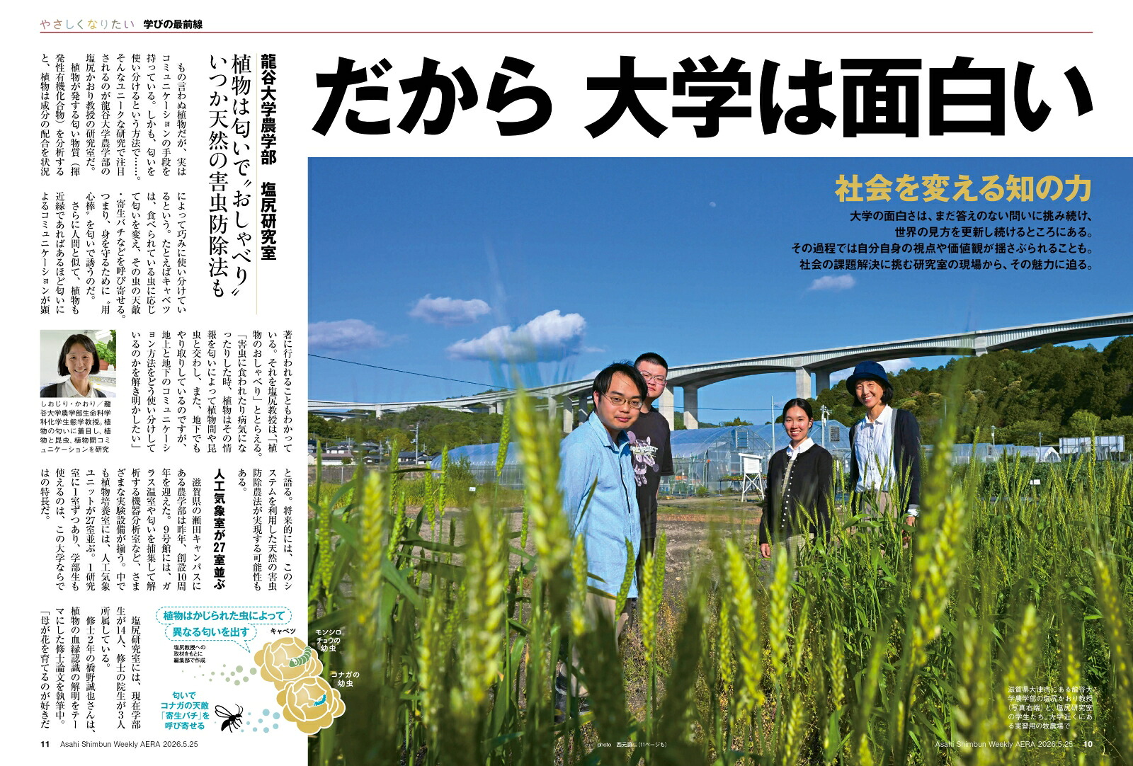 AERA(アエラ)2026年5/25号[雑誌]