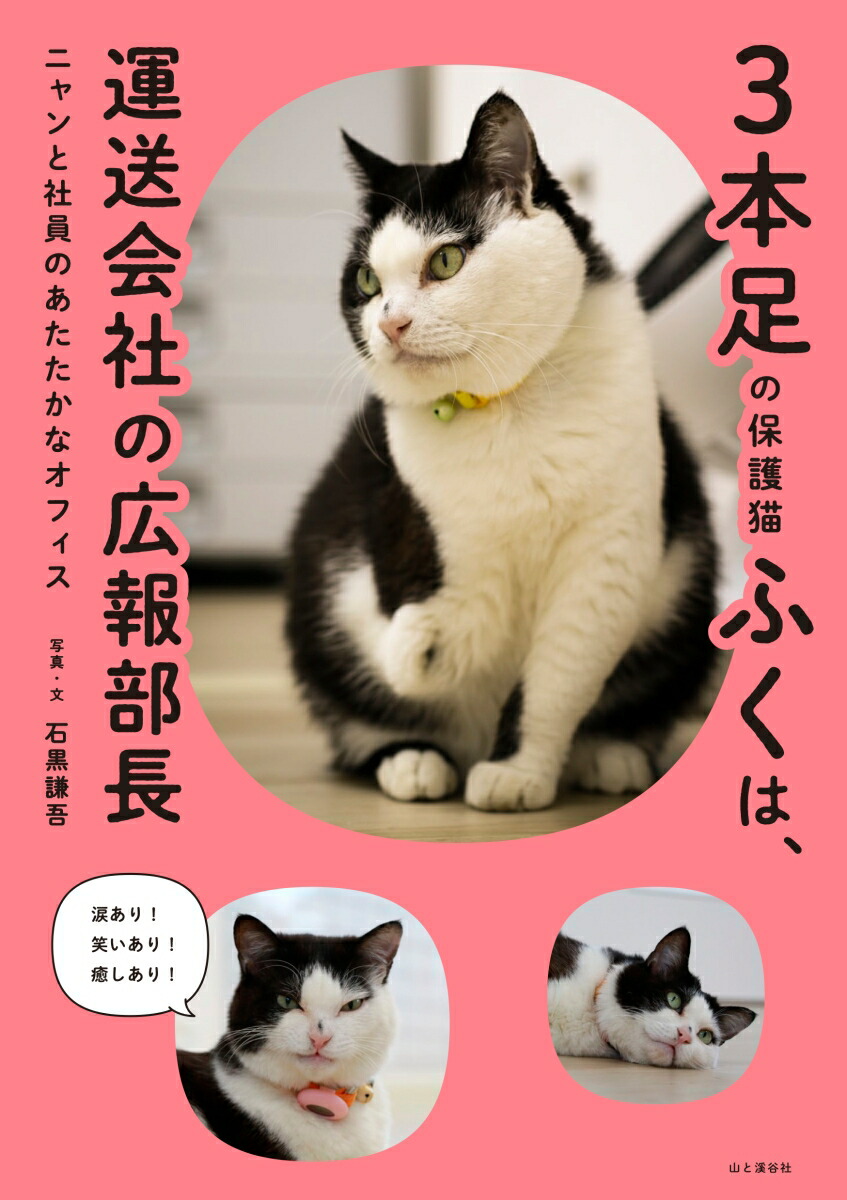 3­ݸǭդϡҤιĹ˥ȼҰΤʥե