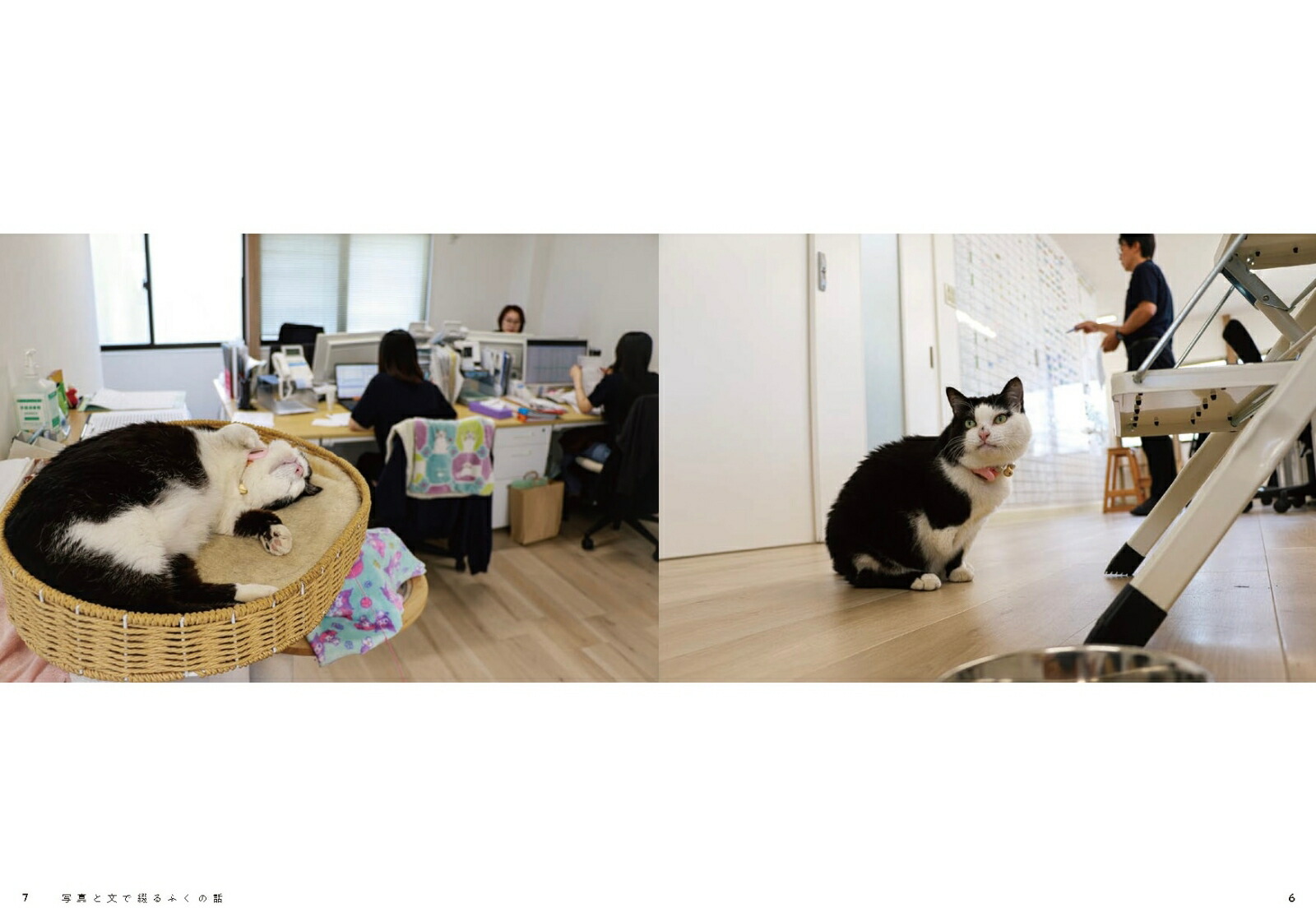 3­ݸǭդϡҤιĹ˥ȼҰΤʥե