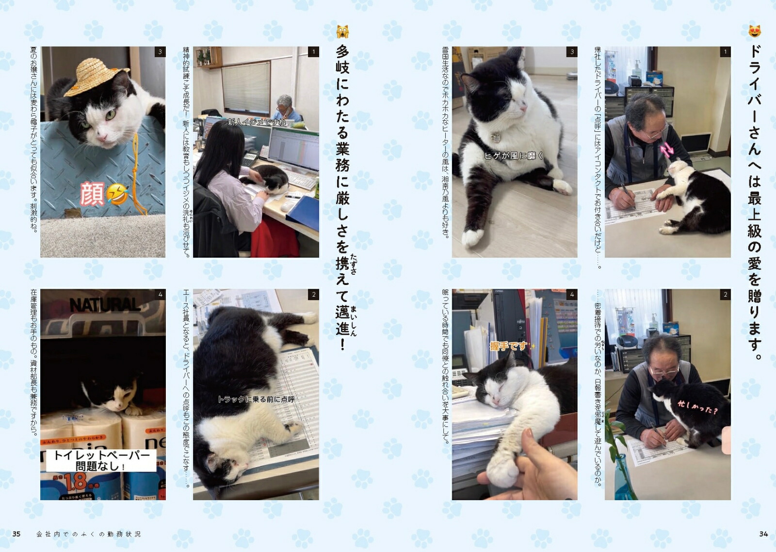 3­ݸǭդϡҤιĹ˥ȼҰΤʥե