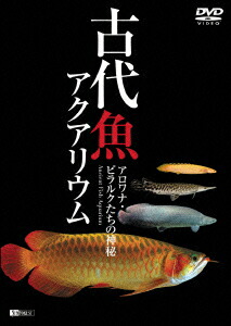 古代魚アクアリウム-アロワナピラルクたちの世界ー[(趣味/教養)]