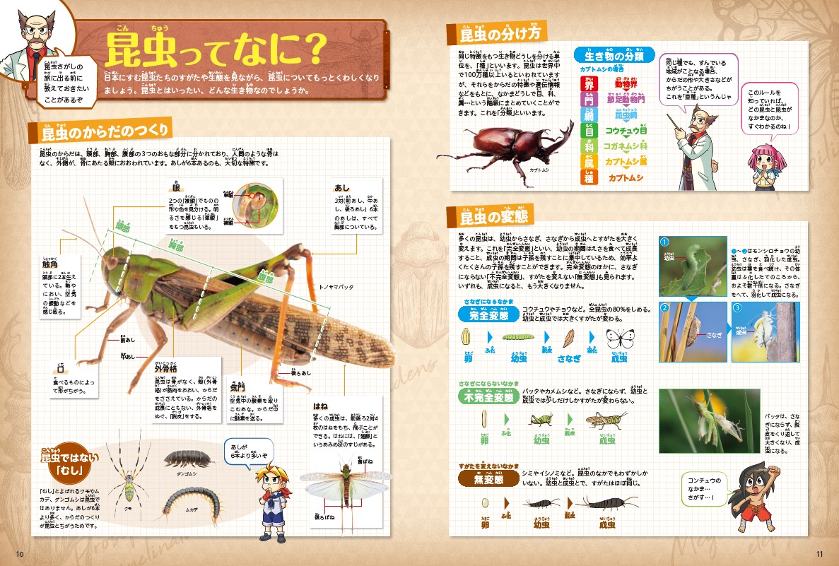 楽天ブックス 角川の集める図鑑get 昆虫 丸山 宗利 本