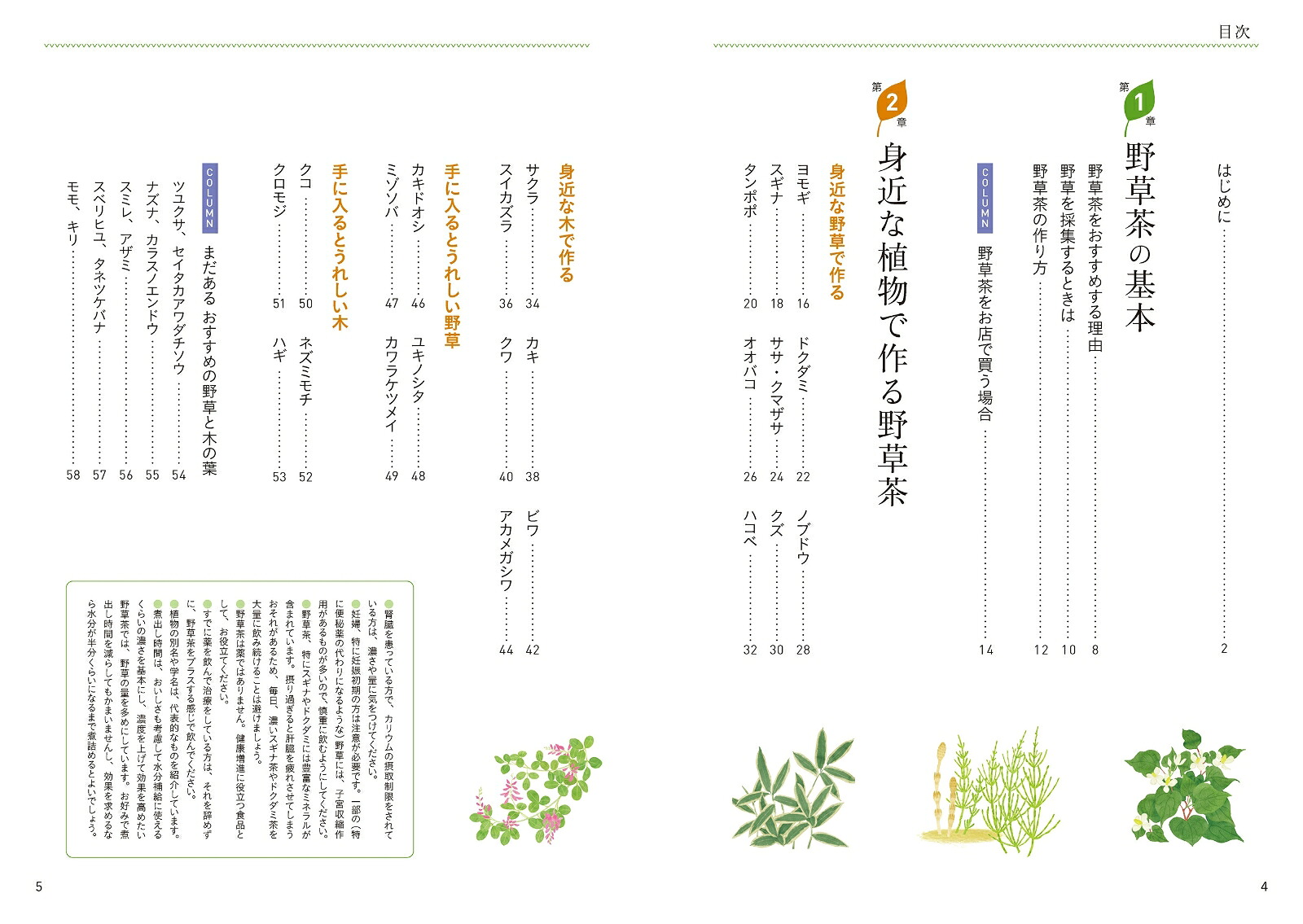 薬学博士が教える手づくり野草茶レシピ