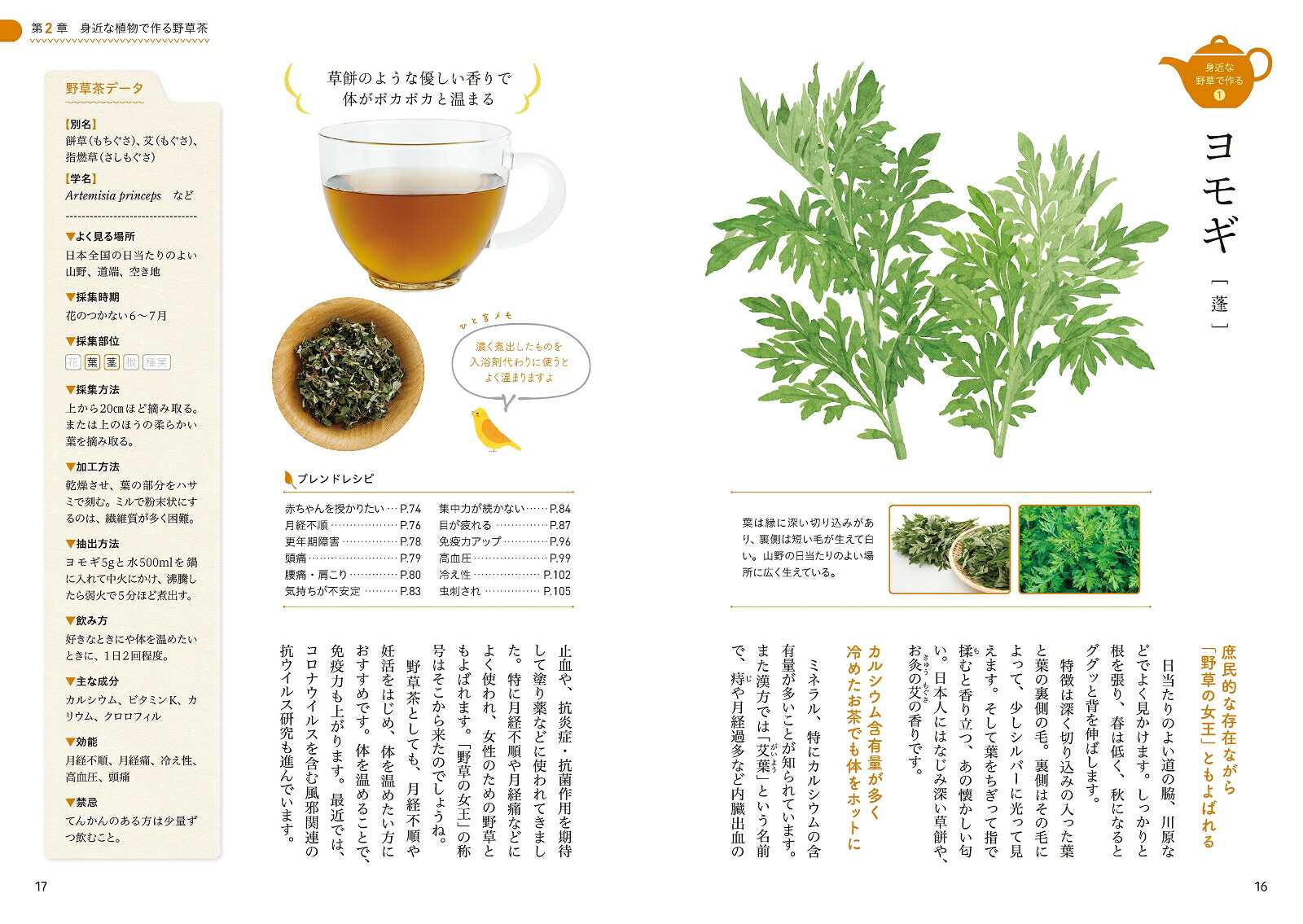 薬学博士が教える手づくり野草茶レシピ