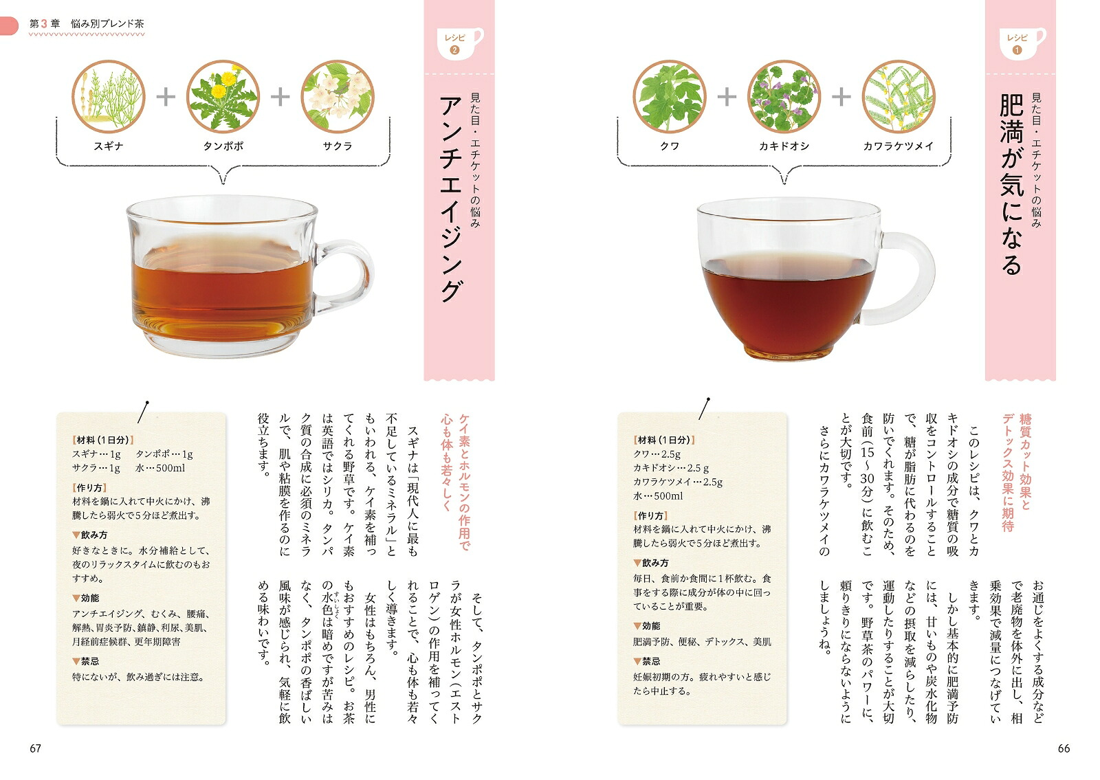 薬学博士が教える手づくり野草茶レシピ